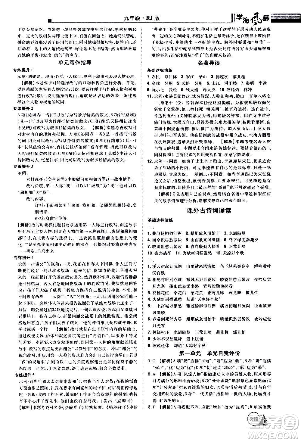 江西美術(shù)出版社2020學(xué)海風(fēng)暴語文九年級上冊RJ人教版答案