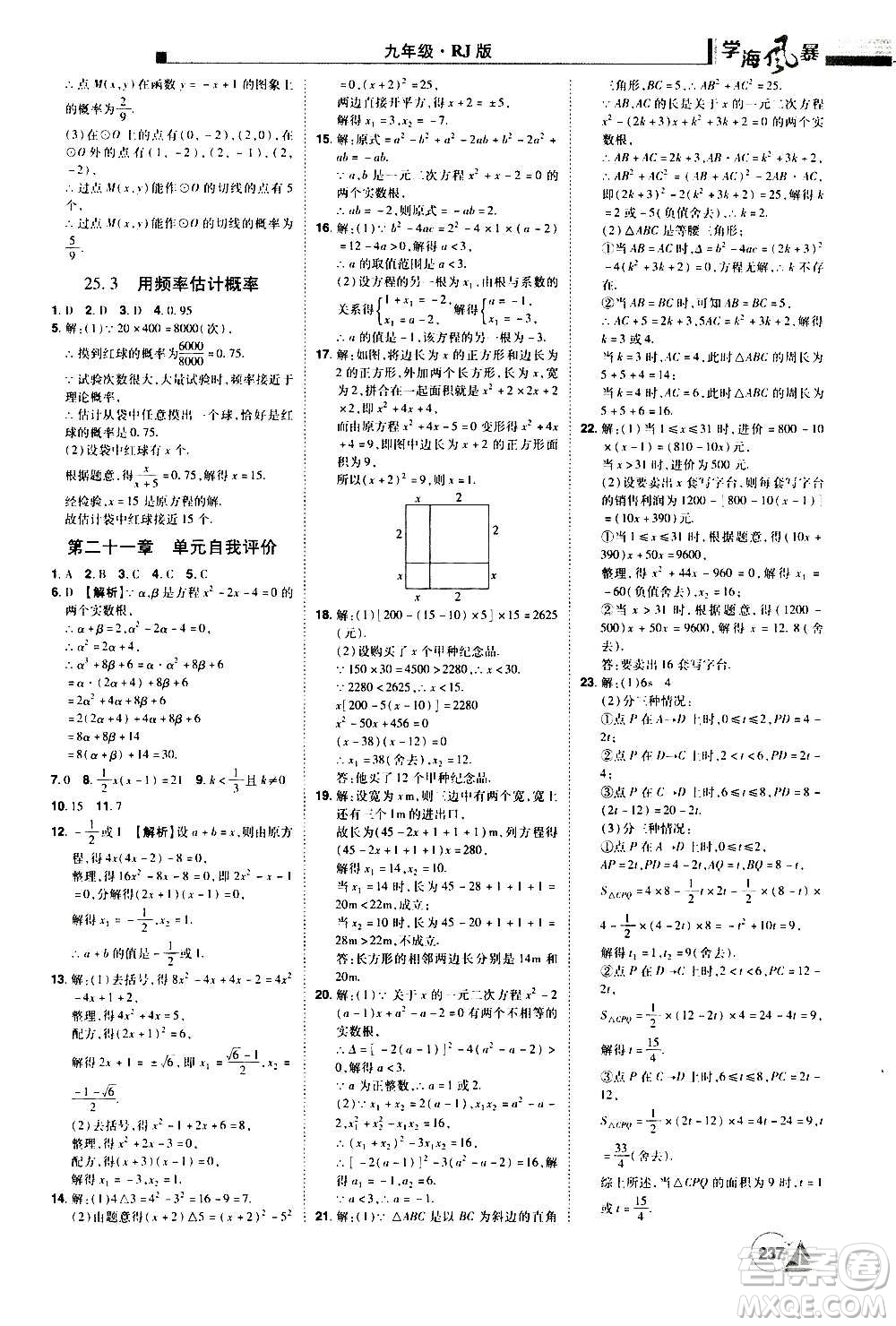 江西美術(shù)出版社2020學(xué)海風(fēng)暴數(shù)學(xué)九年級上冊RJ人教版答案