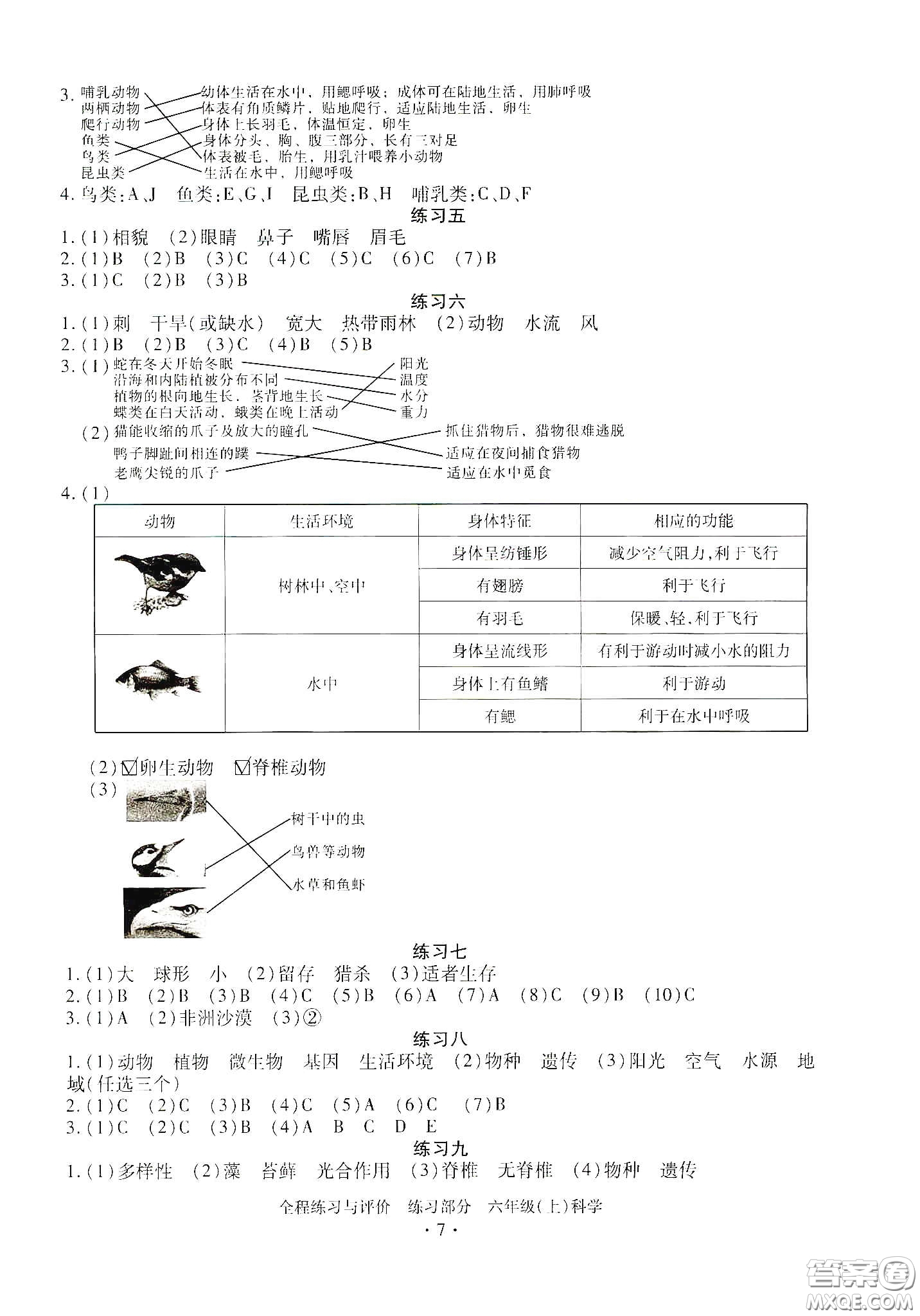 浙江人民出版社2020全程練習(xí)與評價六年級科學(xué)上冊冀教版答案