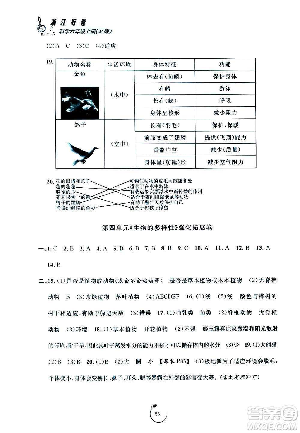 寧波出版社2020年浙江好卷科學(xué)六年級(jí)上冊(cè)JK教科版答案