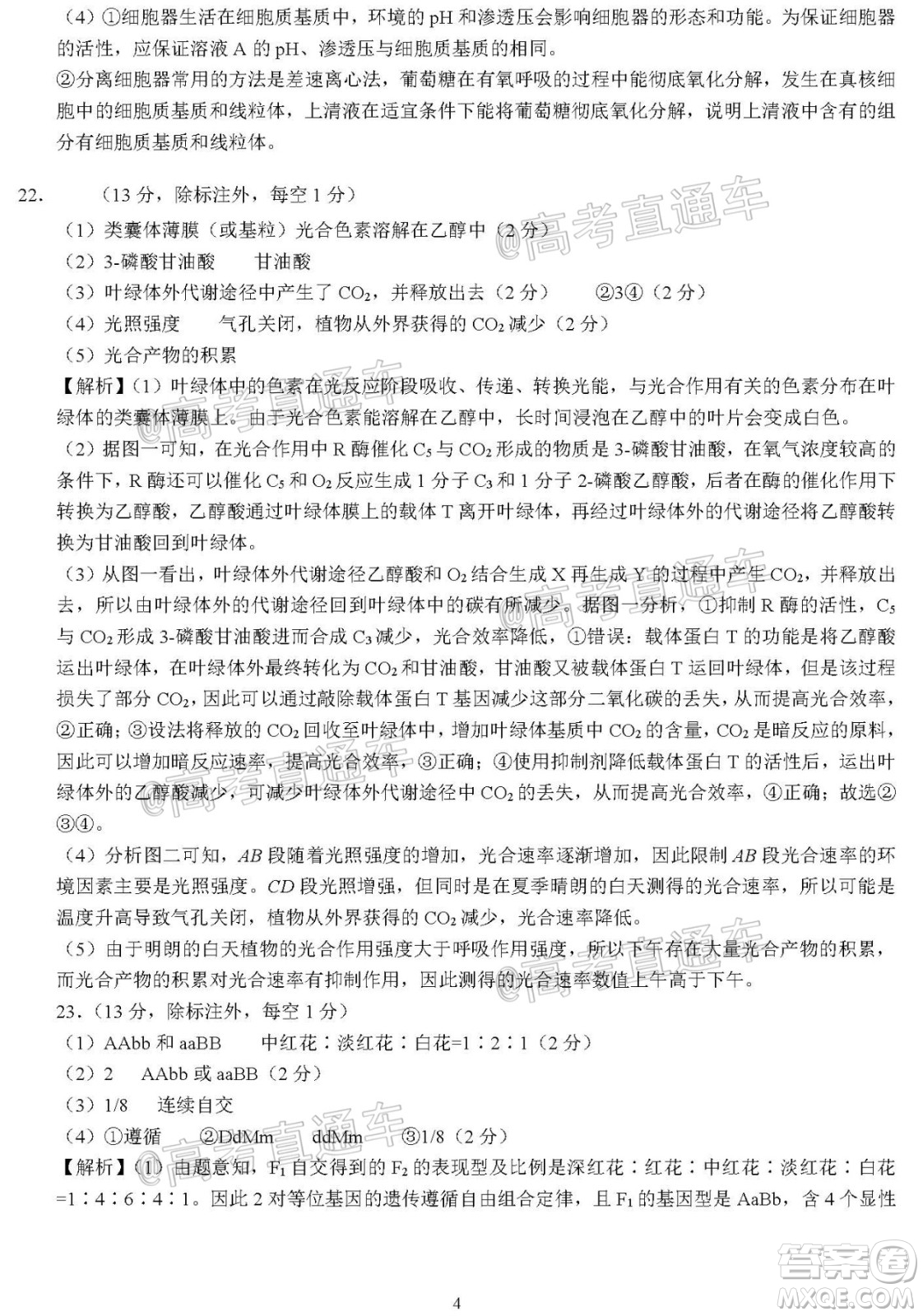 河北省衡水中學(xué)2021屆上學(xué)期高三年級二調(diào)考試生物試題及答案