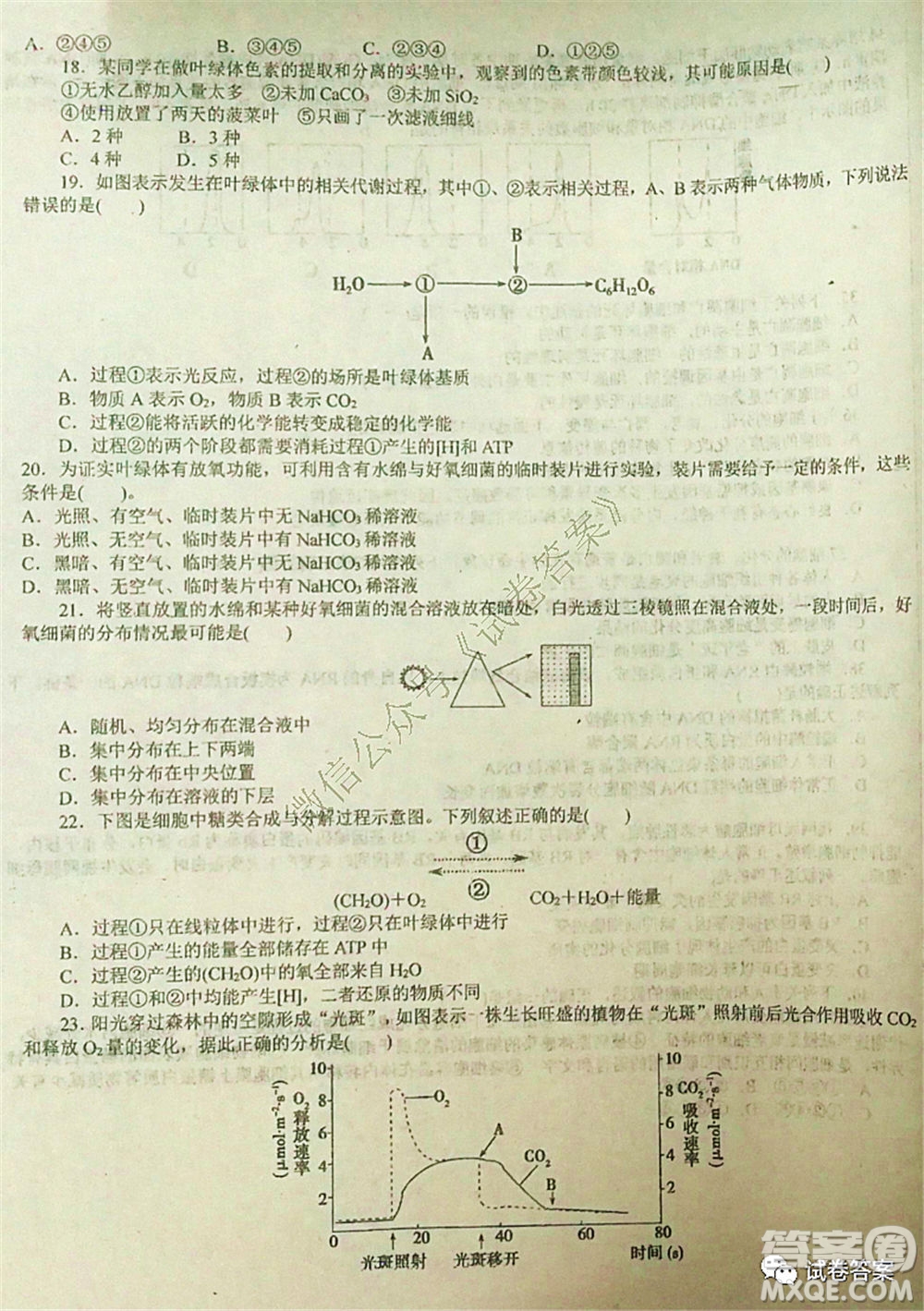 2021屆毛坦廠期中考試應屆生物試題及答案