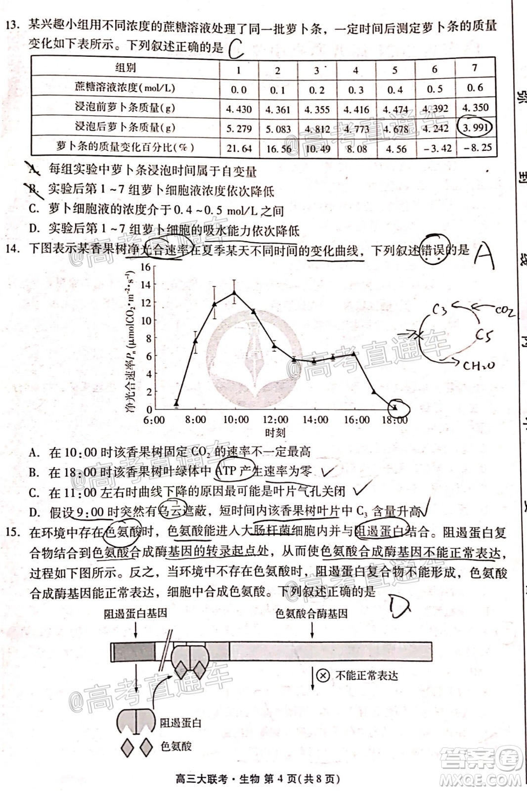 廣東省2021屆普通高中學業(yè)質(zhì)量聯(lián)合測評高三生物試題及答案