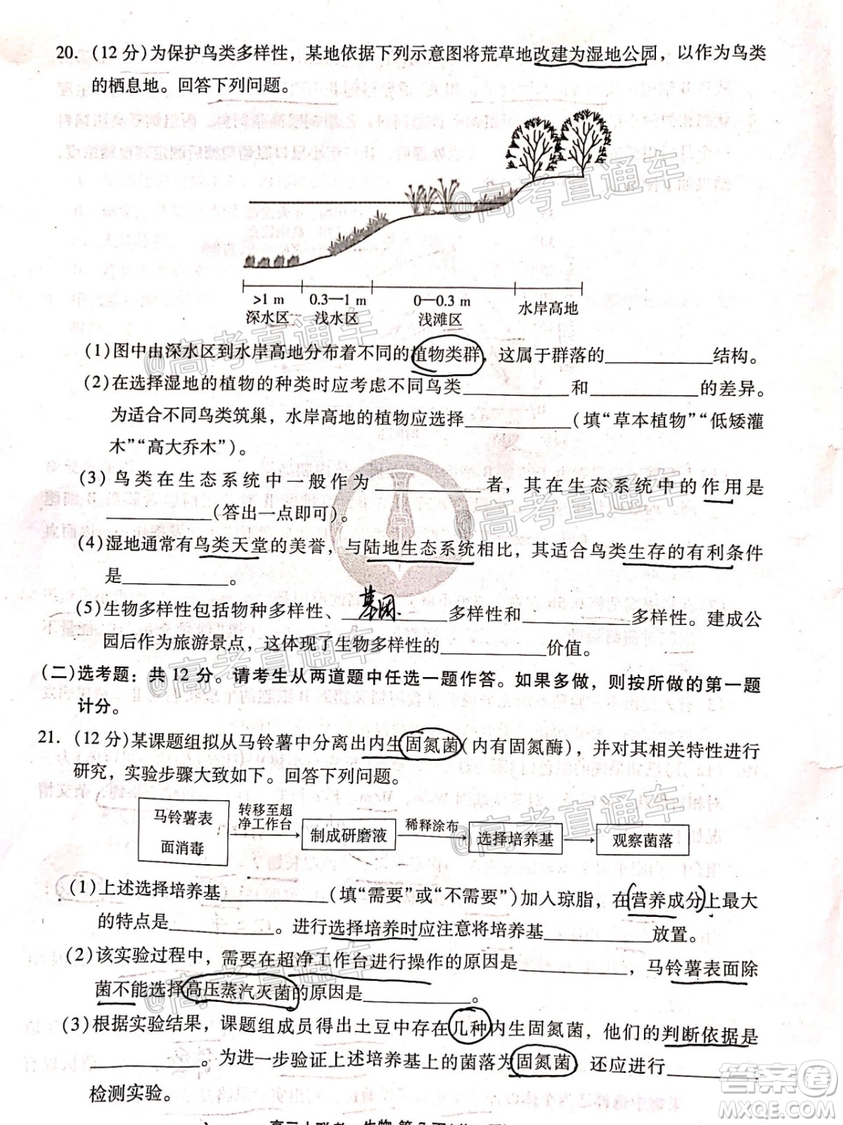 廣東省2021屆普通高中學業(yè)質(zhì)量聯(lián)合測評高三生物試題及答案