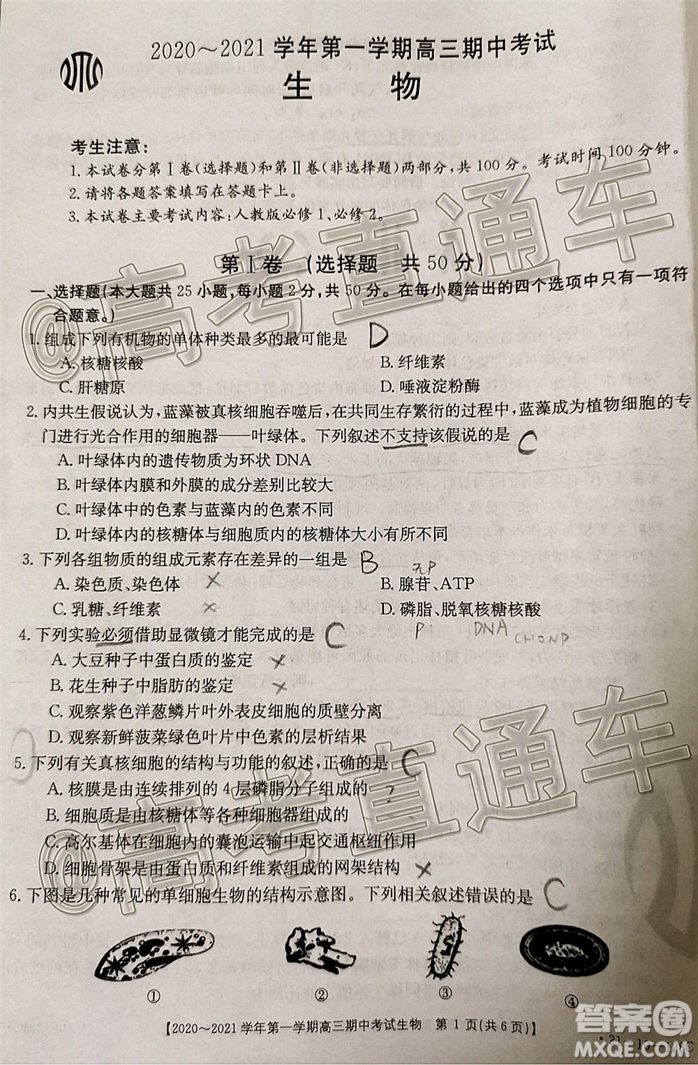 江西金太陽(yáng)2020-2021學(xué)年第一學(xué)期高三期中考試生物試題及答案