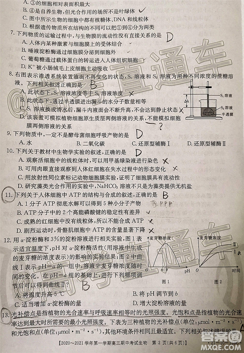 江西金太陽(yáng)2020-2021學(xué)年第一學(xué)期高三期中考試生物試題及答案