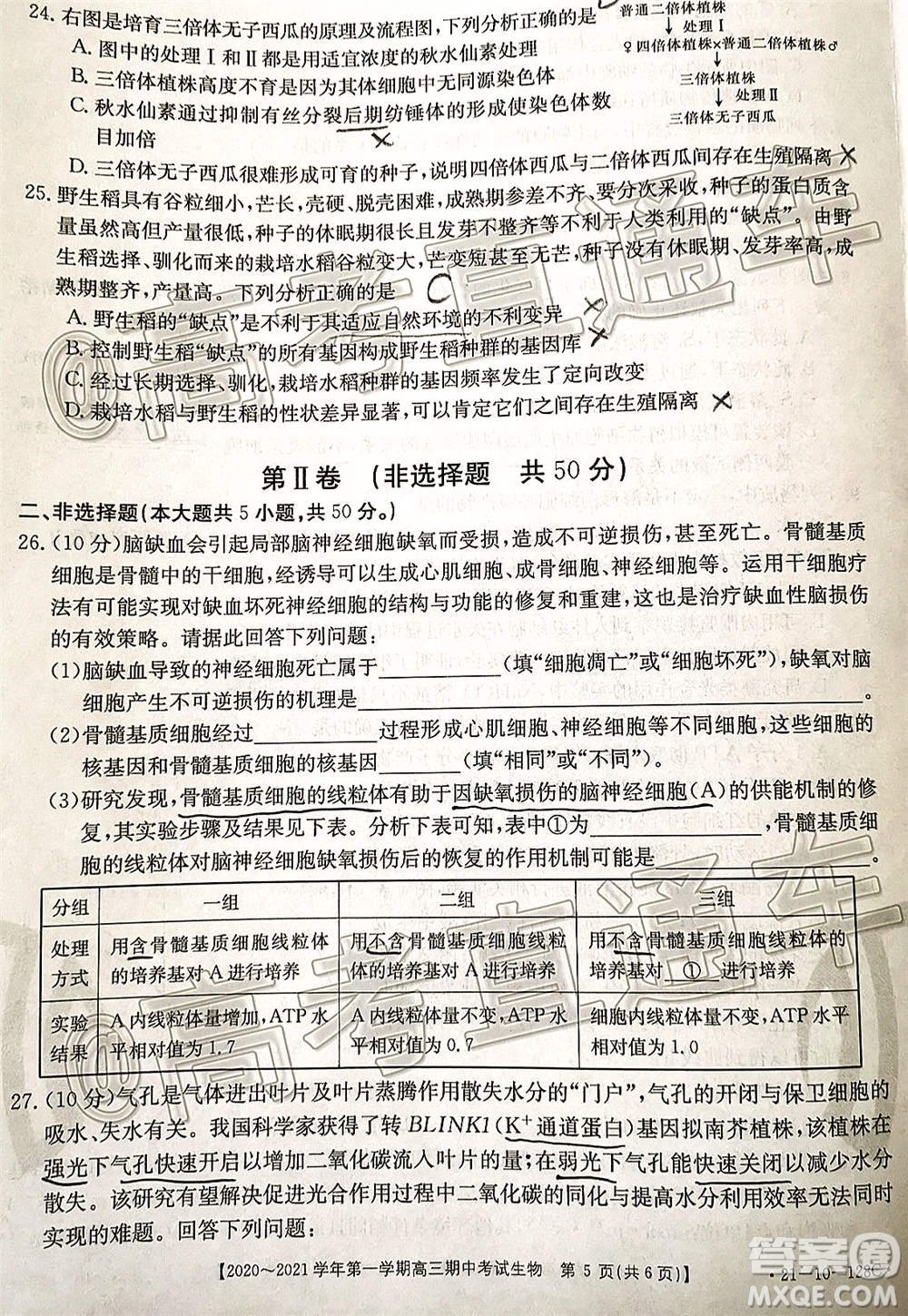 江西金太陽(yáng)2020-2021學(xué)年第一學(xué)期高三期中考試生物試題及答案