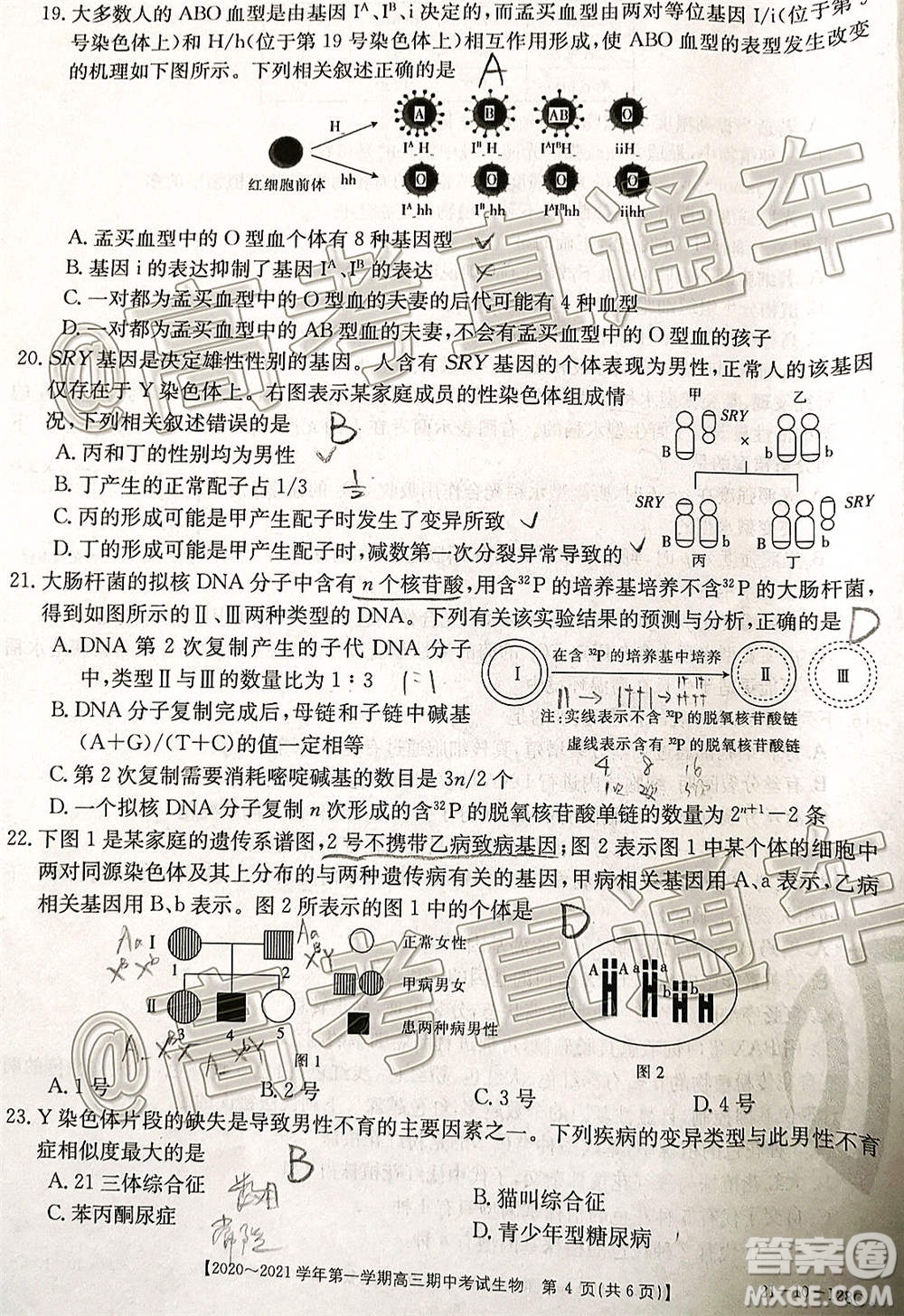 江西金太陽(yáng)2020-2021學(xué)年第一學(xué)期高三期中考試生物試題及答案