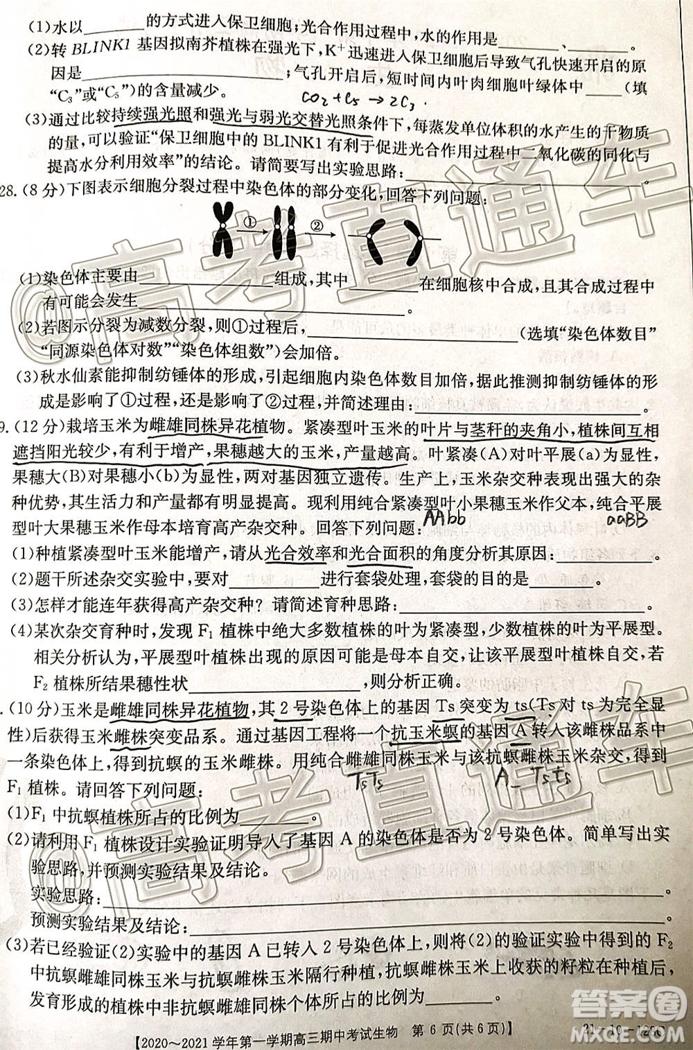 江西金太陽(yáng)2020-2021學(xué)年第一學(xué)期高三期中考試生物試題及答案