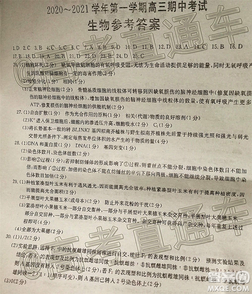 江西金太陽(yáng)2020-2021學(xué)年第一學(xué)期高三期中考試生物試題及答案