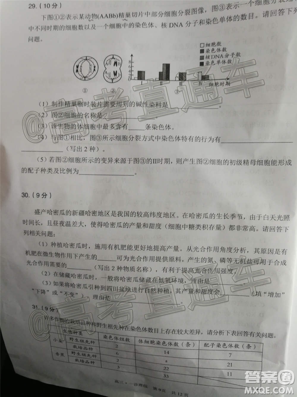 瀘州市高2018第一次教學質量診斷性考試理科綜合試題及答案