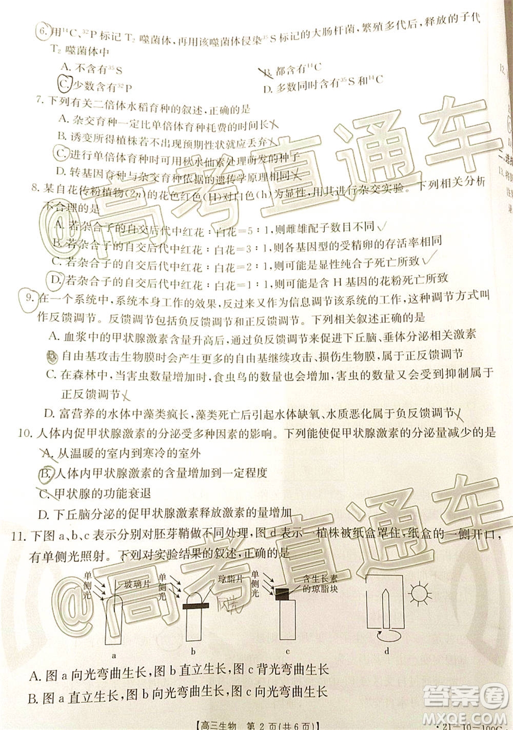 2021屆高三廣東金太陽11月聯(lián)考生物試題及答案