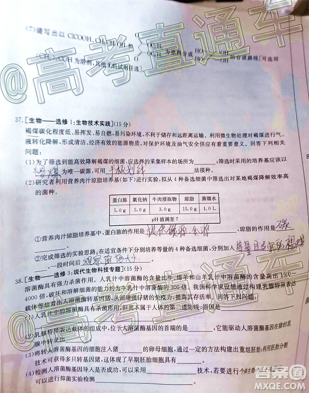 2021屆西南四省高三金太陽(yáng)聯(lián)考理科綜合試題及答案