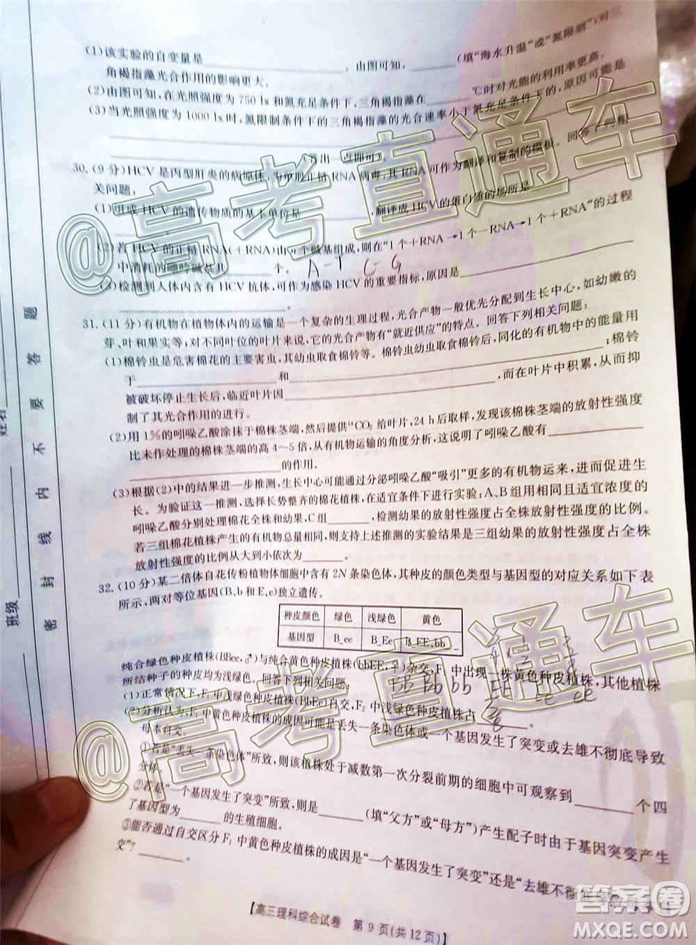 2021屆西南四省高三金太陽(yáng)聯(lián)考理科綜合試題及答案