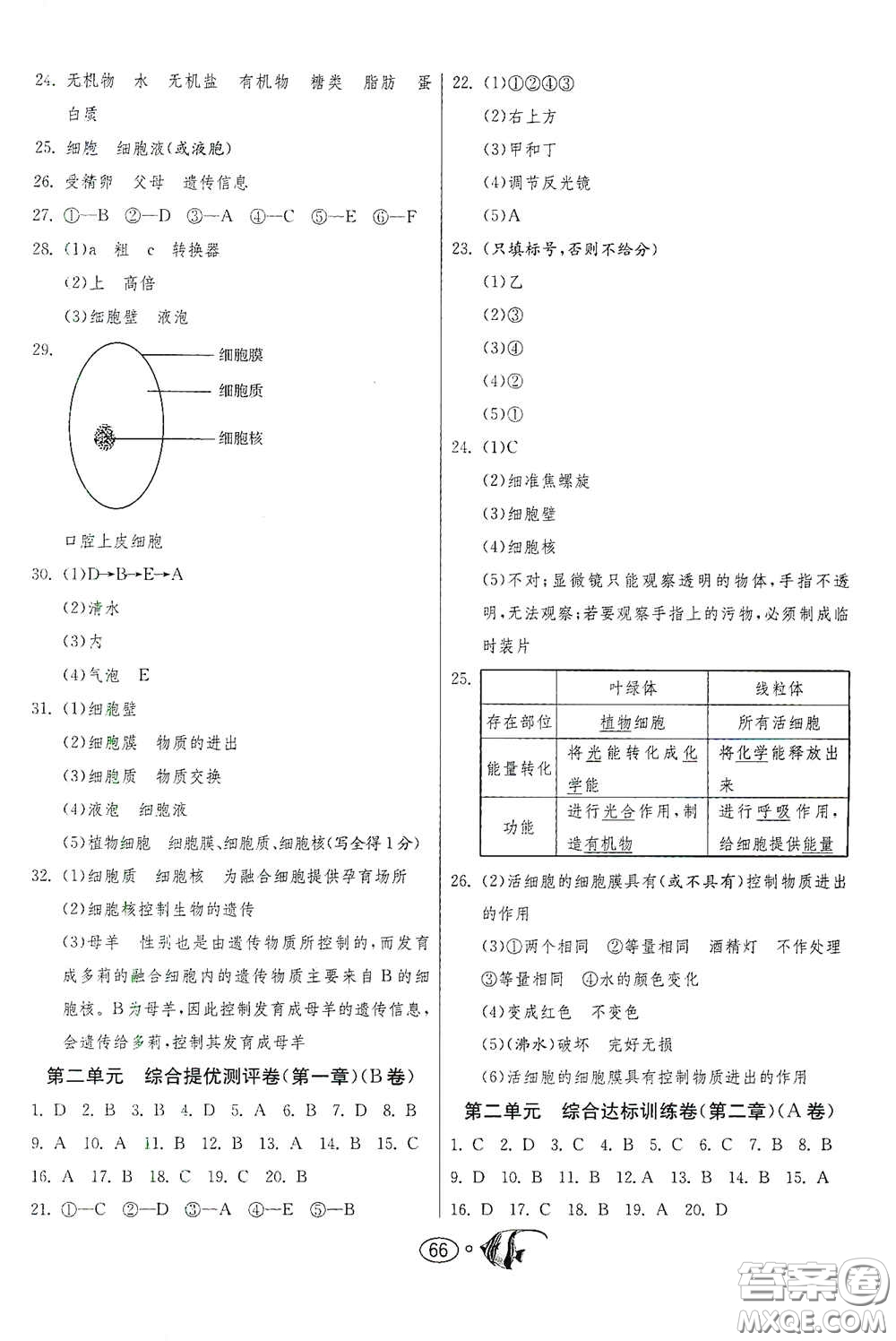江蘇人民出版社2020名牌牛皮卷提優(yōu)名卷七年級生物上冊RMJY版答案