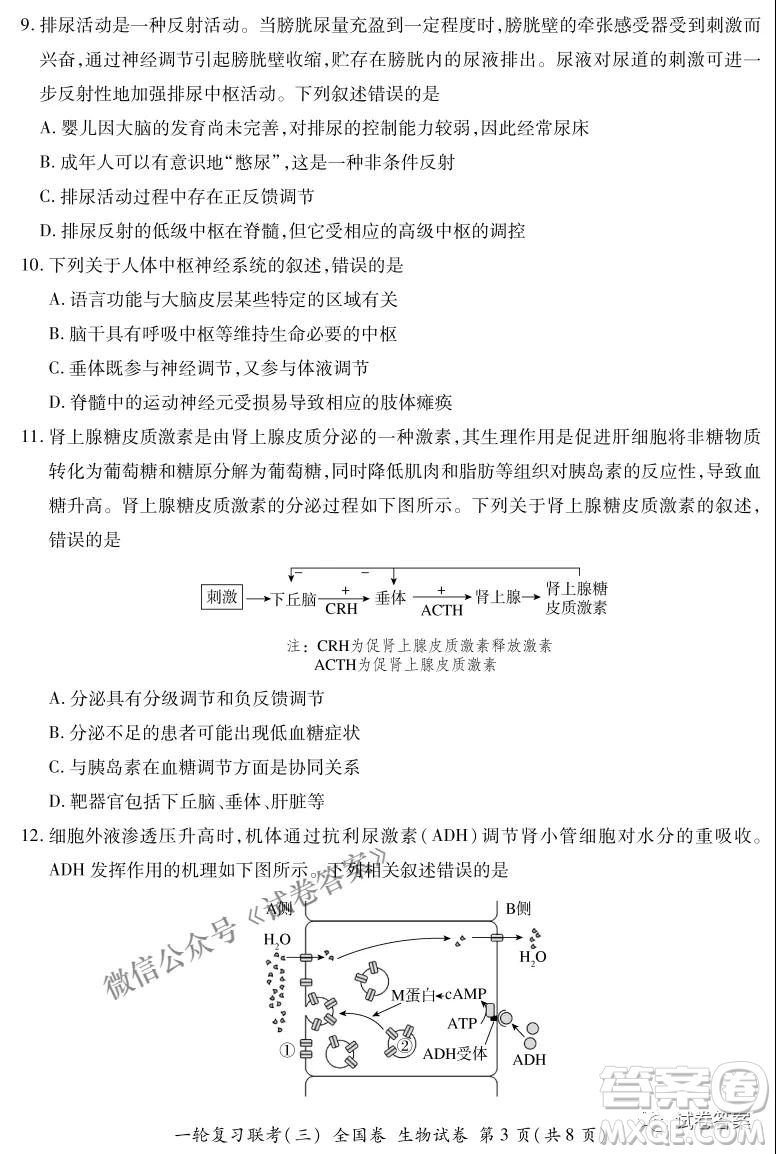 百師聯(lián)盟2021屆高三一輪復習聯(lián)考三全國卷生物試題及答案