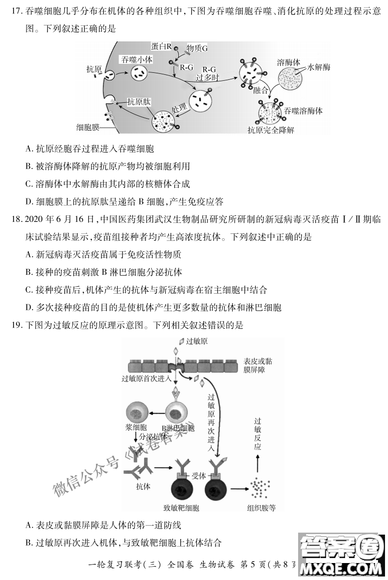 百師聯(lián)盟2021屆高三一輪復習聯(lián)考三全國卷生物試題及答案