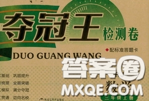 2020奪冠王檢測卷三年級數(shù)學上冊人教答案