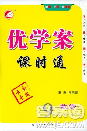 延邊教育出版社2020優(yōu)學(xué)案課時(shí)通數(shù)學(xué)九年級全一冊RJ人教版云南專用答案