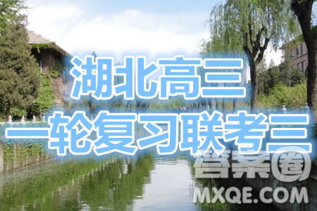 2021屆湖北高三一輪復(fù)習(xí)聯(lián)考三物理試題及答案