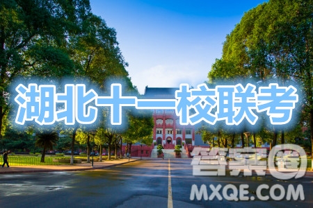 2021屆高三湖北十一校第一次聯(lián)考語(yǔ)文試題及答案