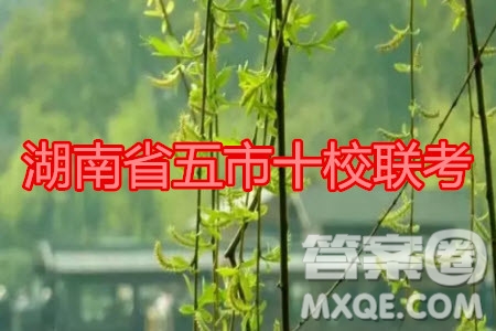 湖南省五市十校2020年下學(xué)期高三年級(jí)第二次大聯(lián)考物理試題及答案