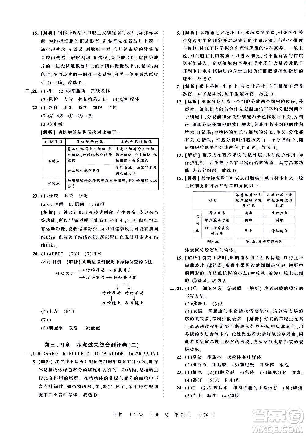 江西人民出版社2020秋王朝霞考點(diǎn)梳理時(shí)習(xí)卷生物七年級上冊SJ蘇教版答案