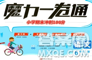 2020魔力一卷通小學(xué)期末沖刺100分語(yǔ)文六年級(jí)上冊(cè)RJ人教版答案
