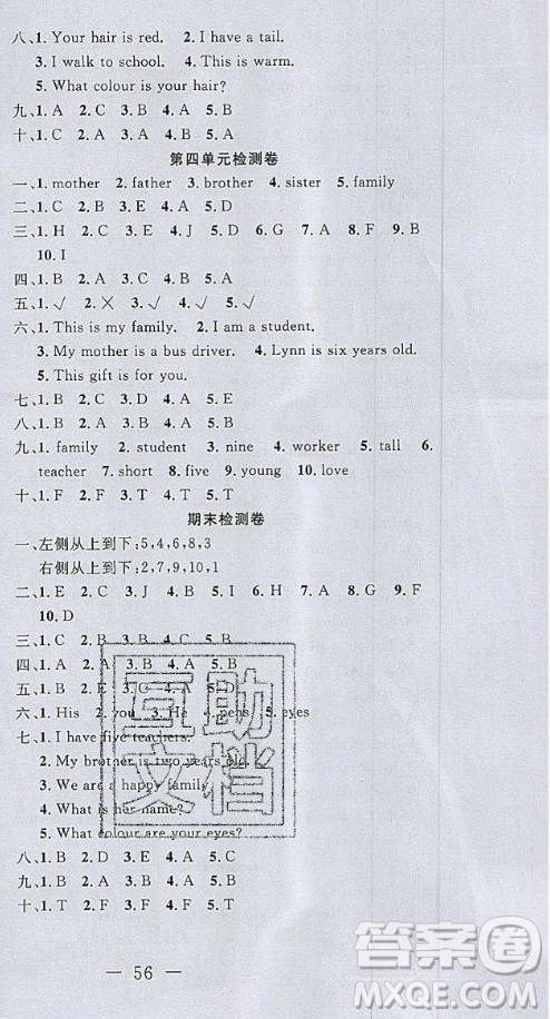 2020好題好卷天天練三年級上冊英語冀教版答案