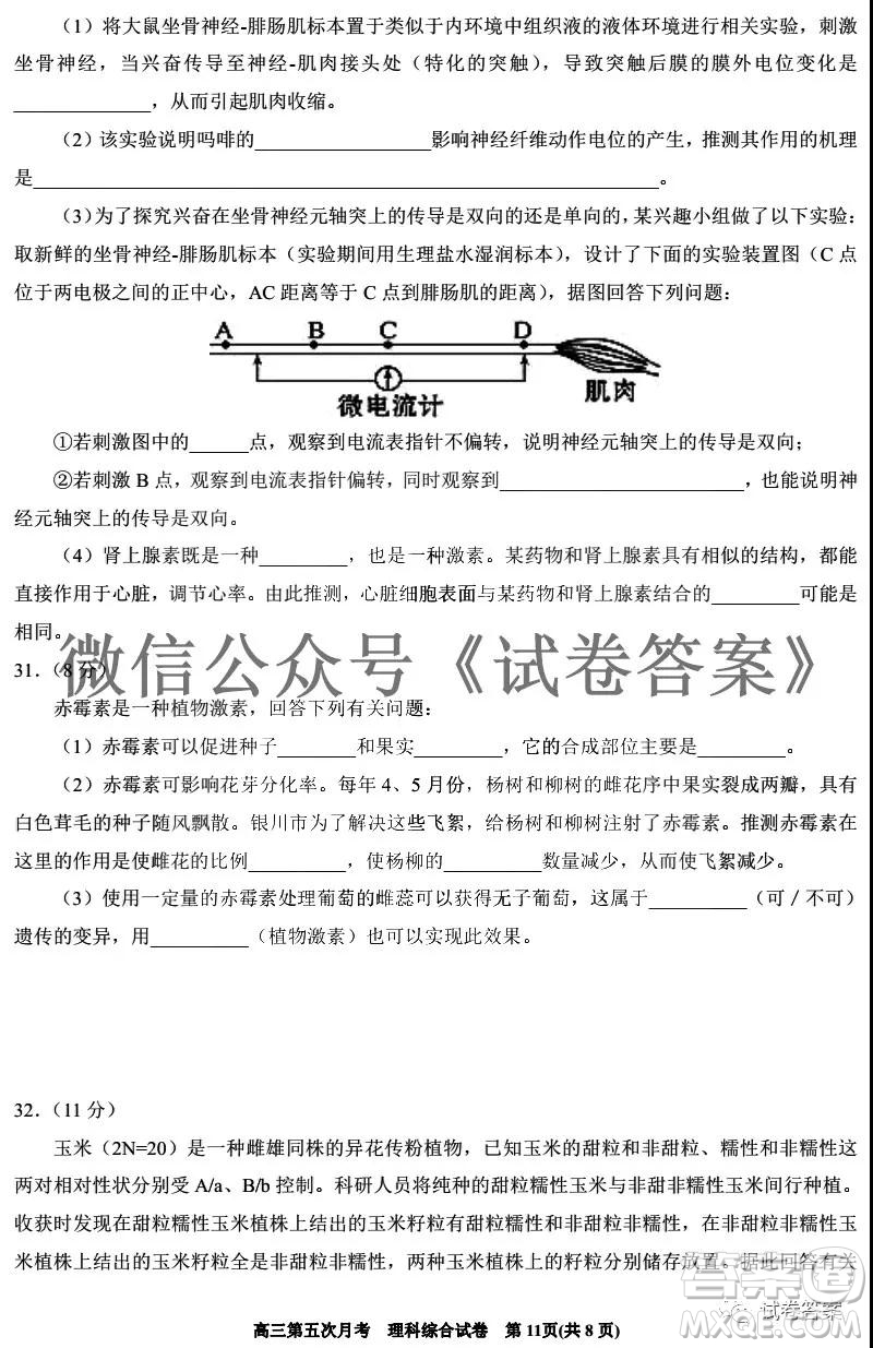 銀川一中2021屆高三年級(jí)第五次月考理科綜合試題及答案