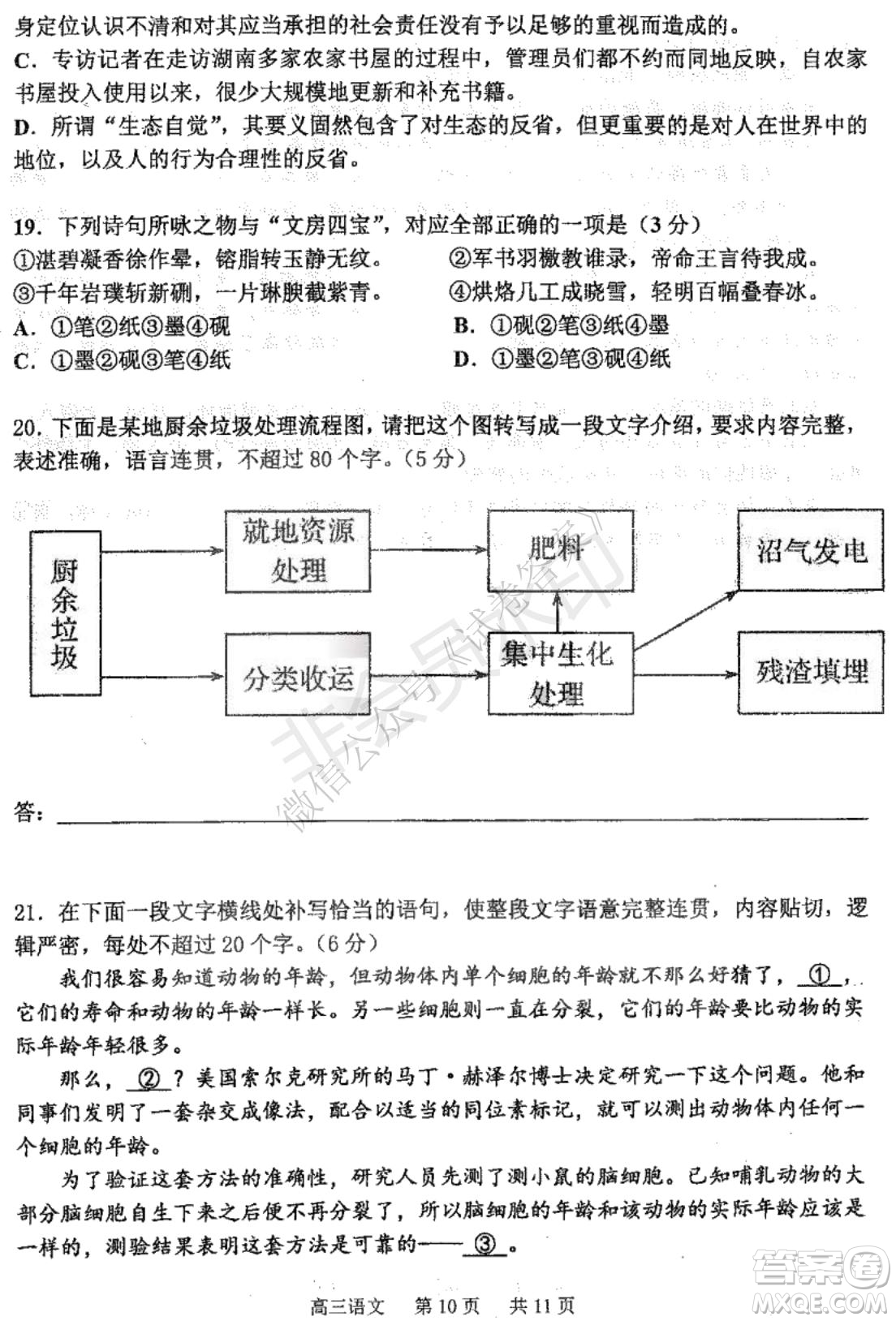 哈三中2020-2021學年度上學期高三年級期末考試語文試題及答案