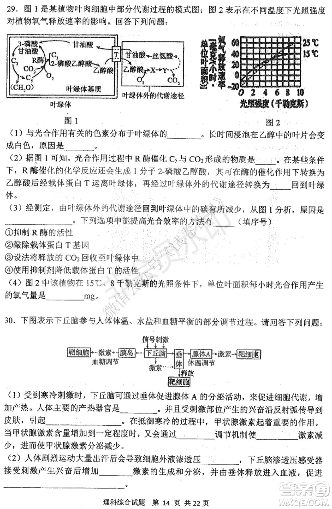 哈三中2020-2021學(xué)年度上學(xué)期高三年級(jí)期末考試?yán)砭C試題及答案