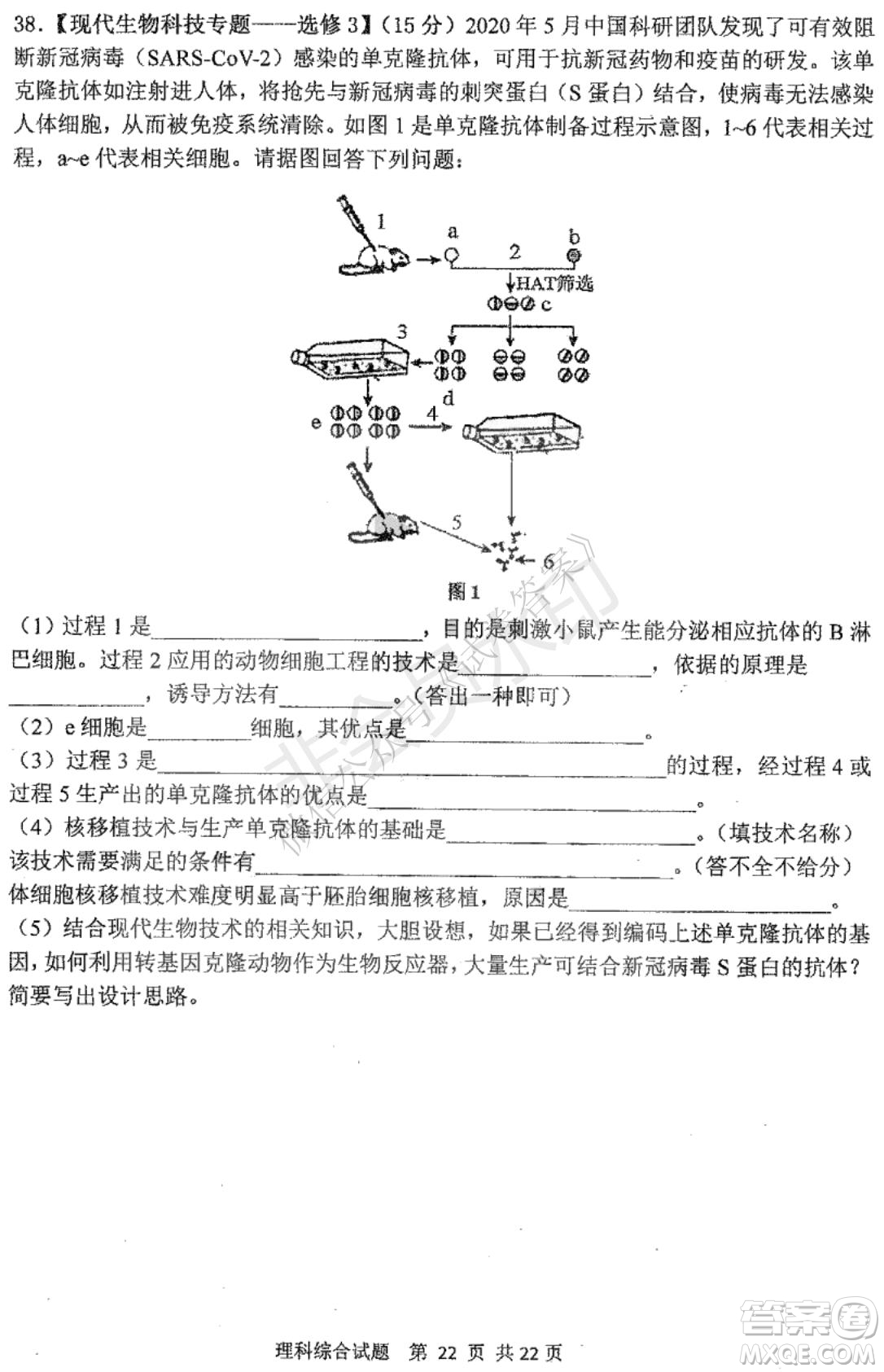 哈三中2020-2021學(xué)年度上學(xué)期高三年級(jí)期末考試?yán)砭C試題及答案