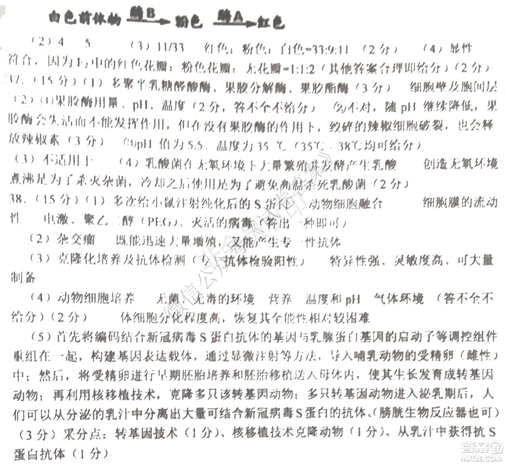 哈三中2020-2021學(xué)年度上學(xué)期高三年級(jí)期末考試?yán)砭C試題及答案