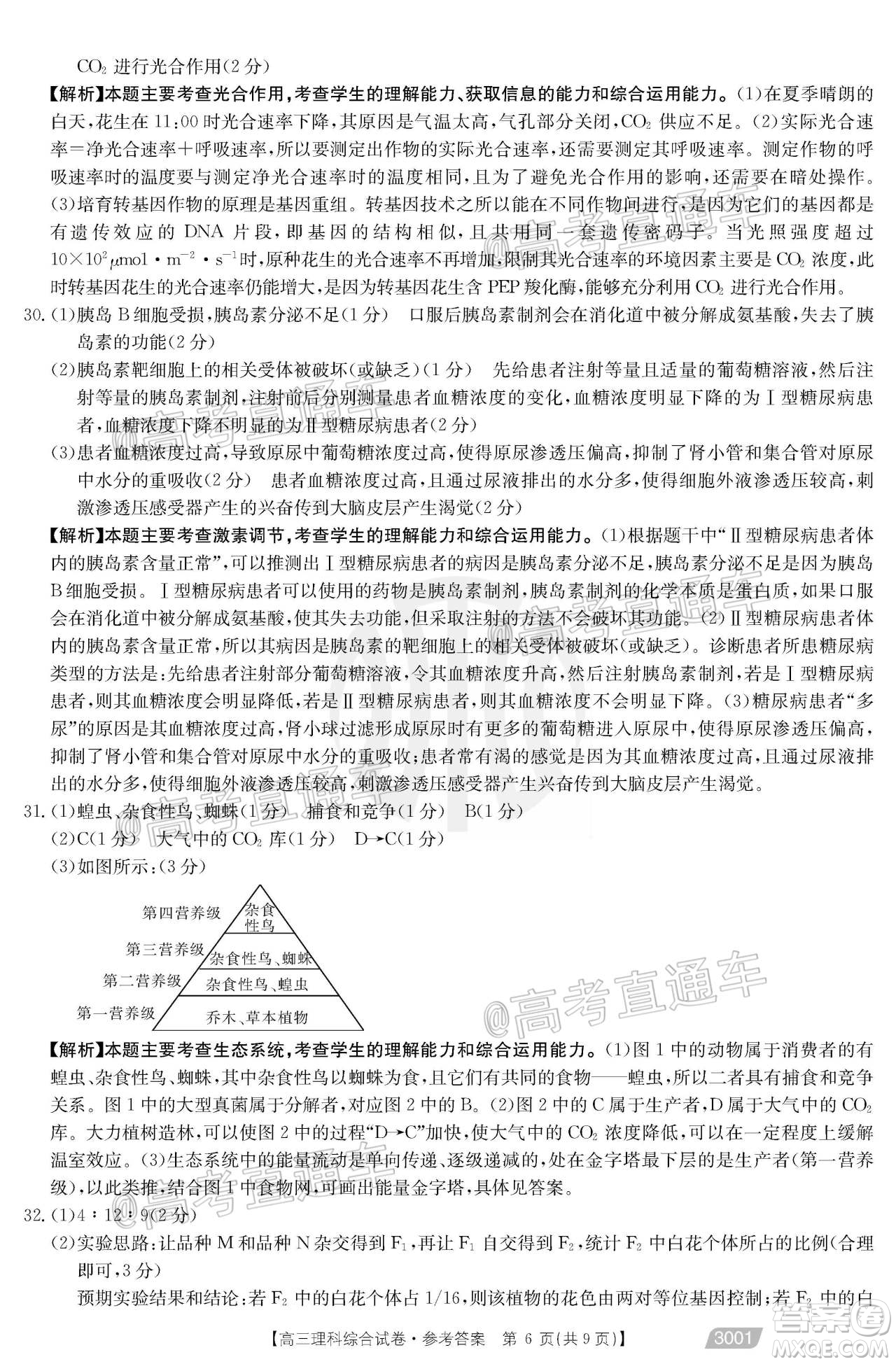 2021金太陽百萬聯(lián)考全國(guó)一卷1月聯(lián)考理科綜合試題及答案