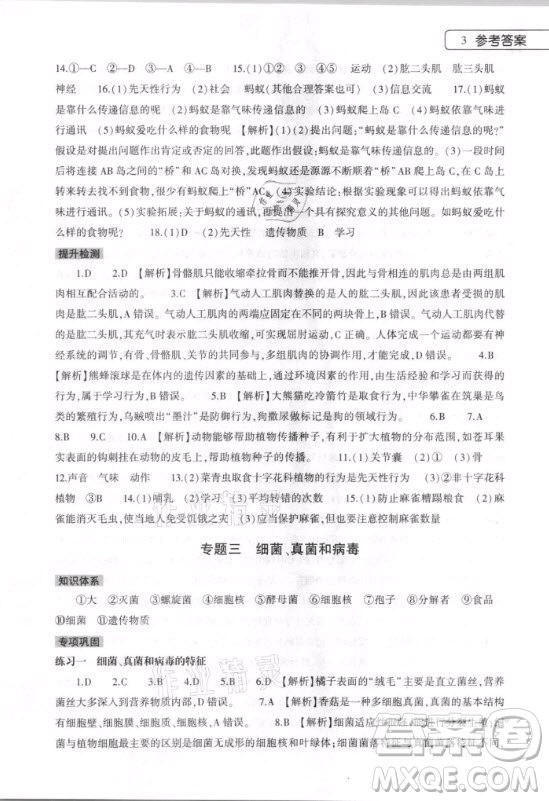 大象出版社2021生物寒假作業(yè)本八年級人教版河南專版答案