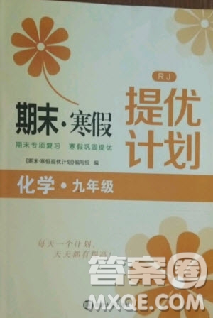 南京大學(xué)出版社2021期末寒假提優(yōu)計(jì)劃化學(xué)九年級(jí)人教版答案