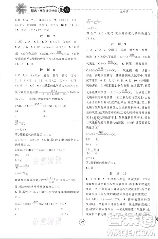 南京大學(xué)出版社2021期末寒假提優(yōu)計(jì)劃化學(xué)九年級(jí)人教版答案