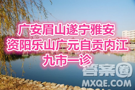 2021屆廣安眉山遂寧雅安資陽樂山廣元自貢內(nèi)江九市一診語文試題及答案