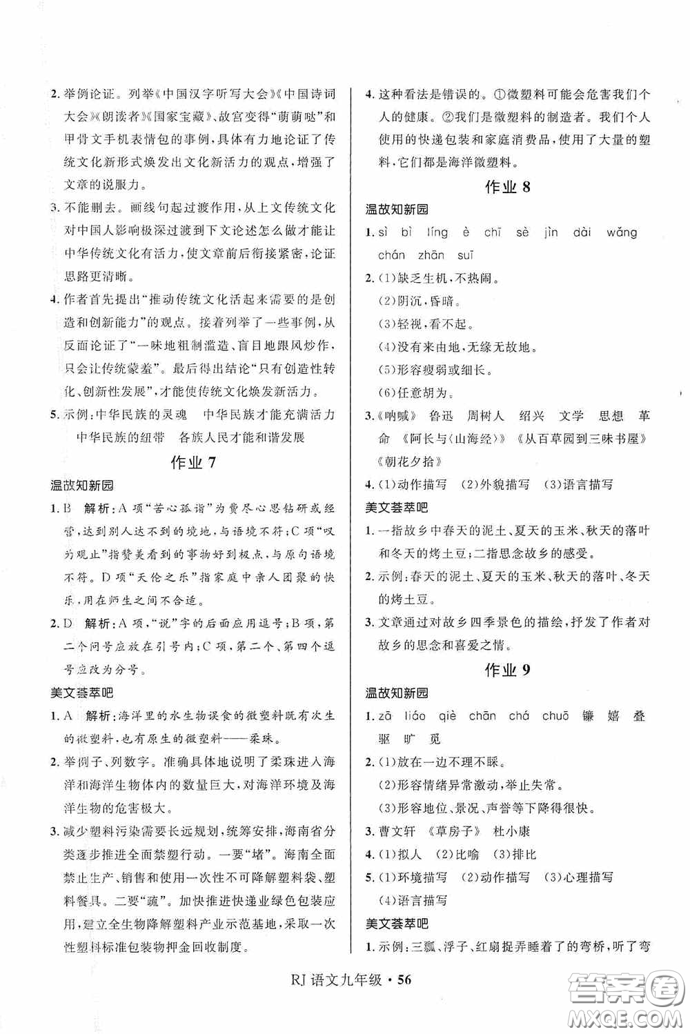 河北少年兒童出版社2021贏在起跑線上中學(xué)生快樂寒假九年級語文人教版答案