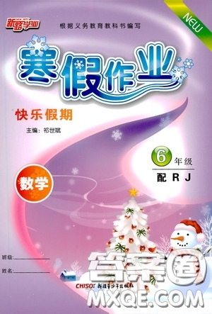 新疆青少年出版社2021新路學(xué)業(yè)寒假作業(yè)快樂假期六年級數(shù)學(xué)人教版答案