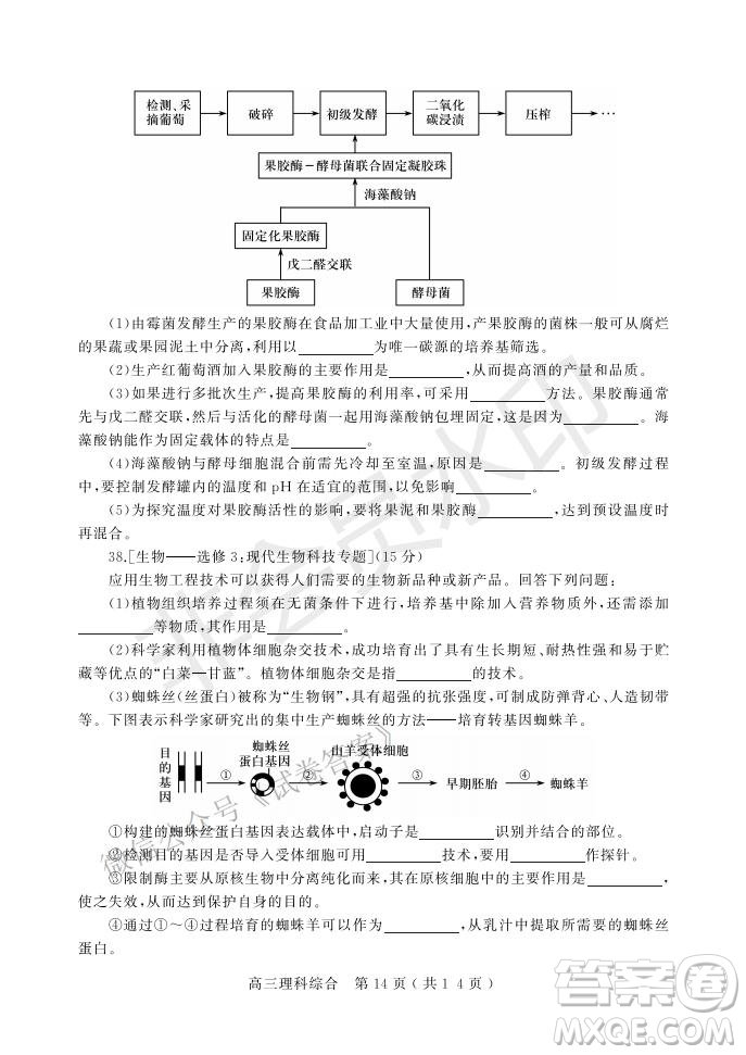 許昌濟(jì)源平頂山2021年高三第一次質(zhì)量檢測(cè)理科綜合試題及答案
