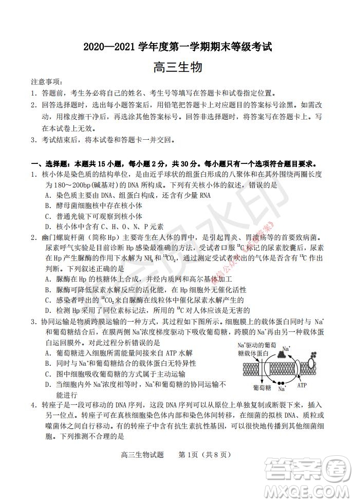煙臺2020-2021學(xué)年度第一學(xué)期期末學(xué)業(yè)水平診斷高三生物試題及答案