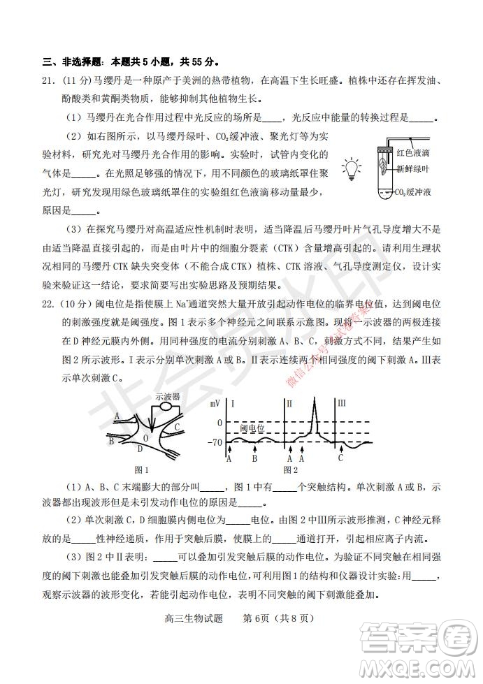 煙臺2020-2021學(xué)年度第一學(xué)期期末學(xué)業(yè)水平診斷高三生物試題及答案