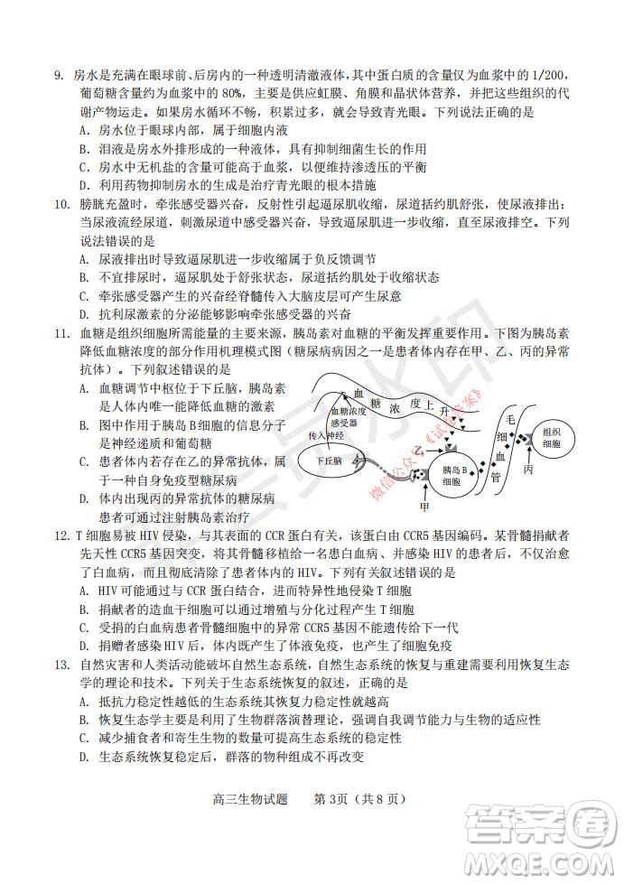 煙臺2020-2021學(xué)年度第一學(xué)期期末學(xué)業(yè)水平診斷高三生物試題及答案