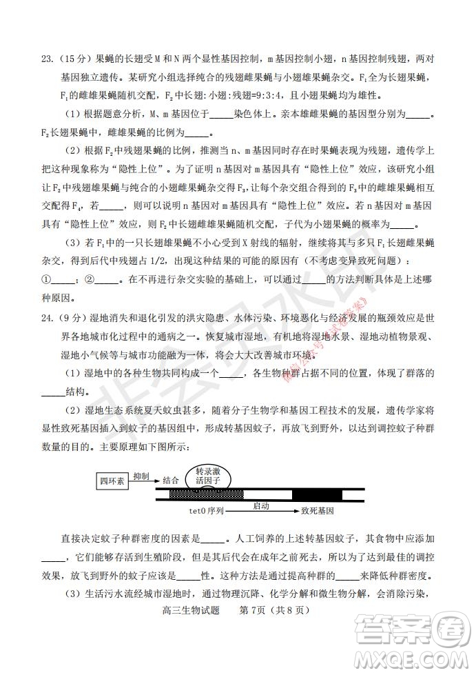 煙臺2020-2021學(xué)年度第一學(xué)期期末學(xué)業(yè)水平診斷高三生物試題及答案