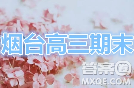 煙臺2020-2021學年度第一學期期末學業(yè)水平診斷高三地理試題及答案