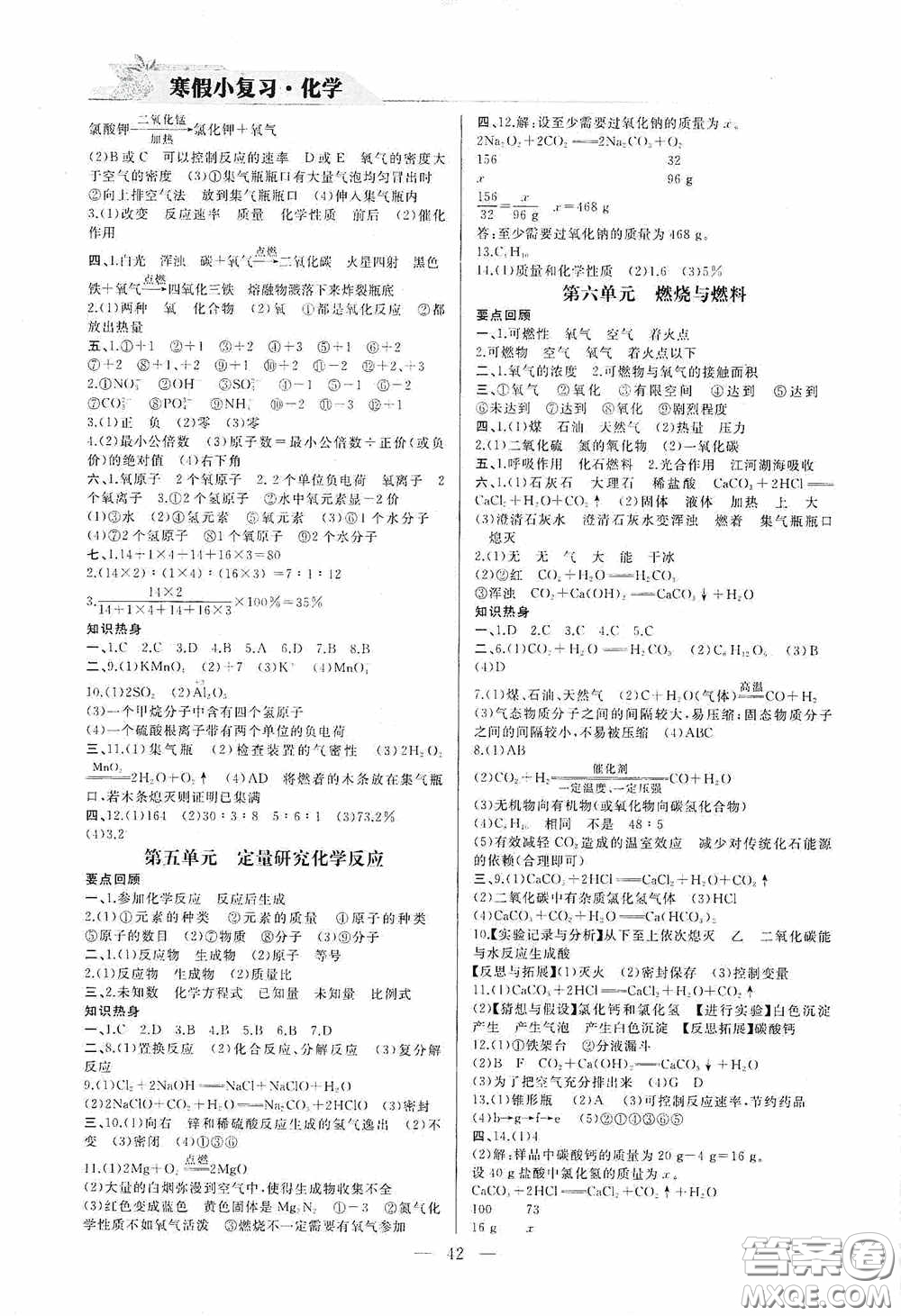 山東人民出版社2021寒假小復(fù)習(xí)九年級化學(xué)魯教版答案