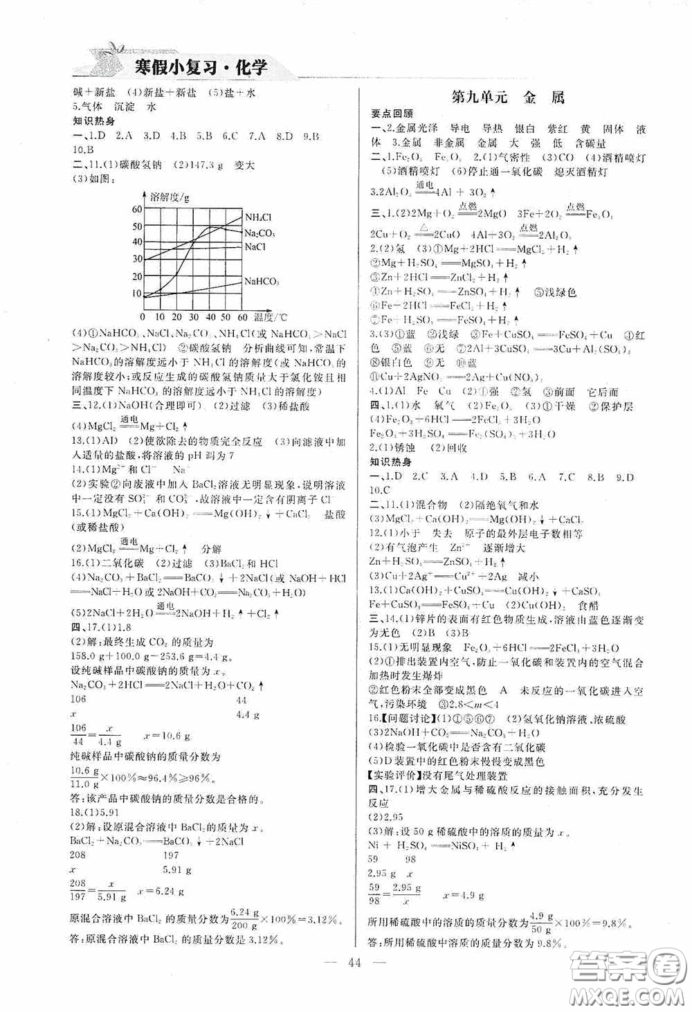 山東人民出版社2021寒假小復(fù)習(xí)九年級化學(xué)魯教版答案