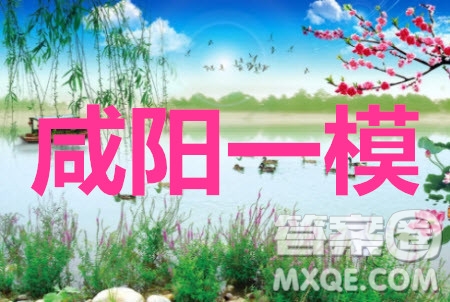 咸陽市2021年高考模擬檢測一理科數(shù)學試題及答案